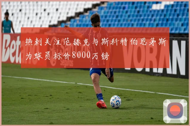 热刺关注范赫克与斯科特伯恩茅斯为球员标价8000万镑