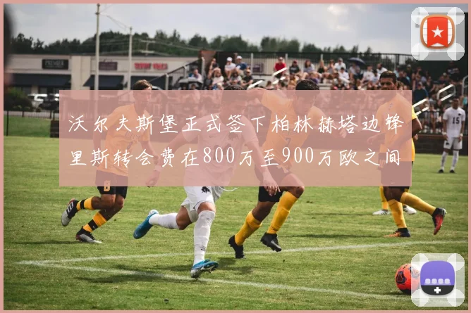 沃尔夫斯堡正式签下柏林赫塔边锋里斯转会费在800万至900万欧之间